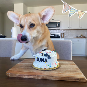 Carob Banana Whipped Cream Dog Cake Treat