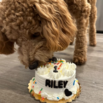 Load image into Gallery viewer, Pumpkin Cream Dog Cake Treat
