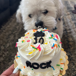 Load image into Gallery viewer, Carob Banana Whipped Cream Dog Cake Treat
