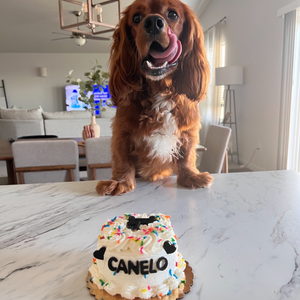 Apple Cinnamon "Smells So Good" Whipped Cream Dog Cake Treat