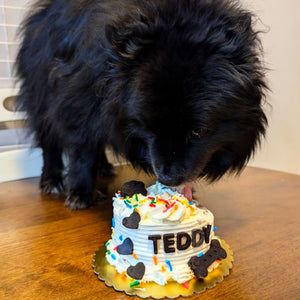 Pumpkin Cream Dog Cake Treat